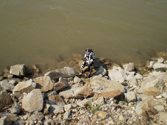 P4130355.JPG
