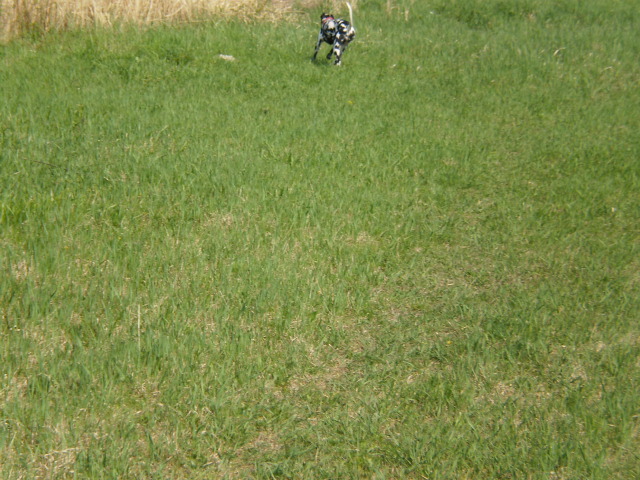 P4130361.JPG