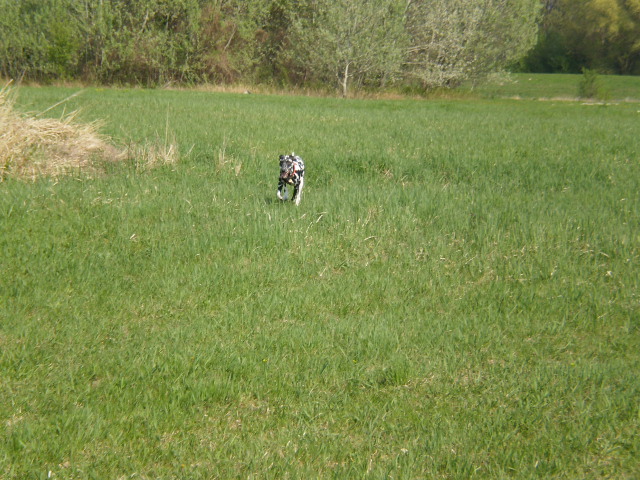 P4130362.JPG