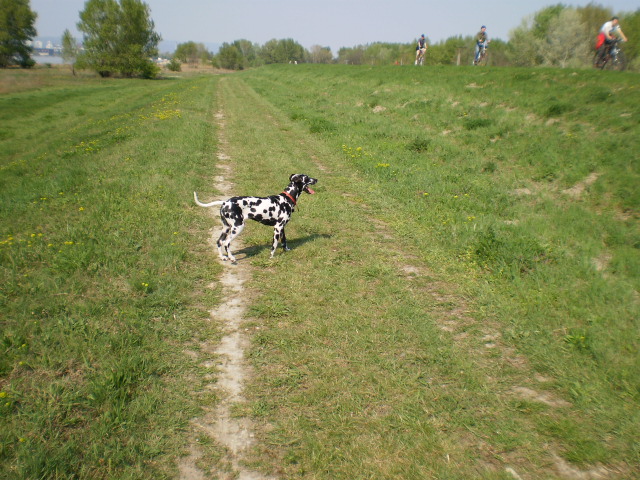 P4130368.JPG