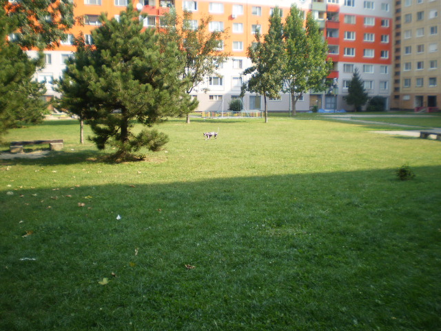 P9030905.JPG