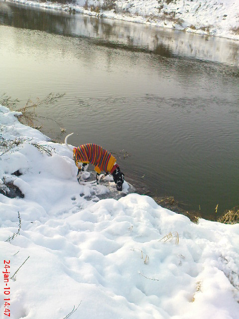 DSC00799.JPG